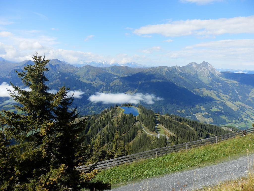 Winklers Gipfelblick Chalet, inklusive Alpentherme - Ganzjährig, Gasteiner Bergbahn - nur Sommer Bad Hofgastein Exterior foto